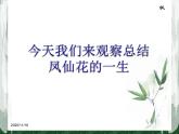 教科版（三起）科学三年级下册第一单元7《我们的大丰收》 课件