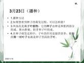 教科版（三起）科学三年级下册第一单元7《我们的大丰收》 课件