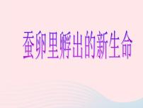 教科版三年级下册1.蚕卵里孵出的新生命图片ppt课件