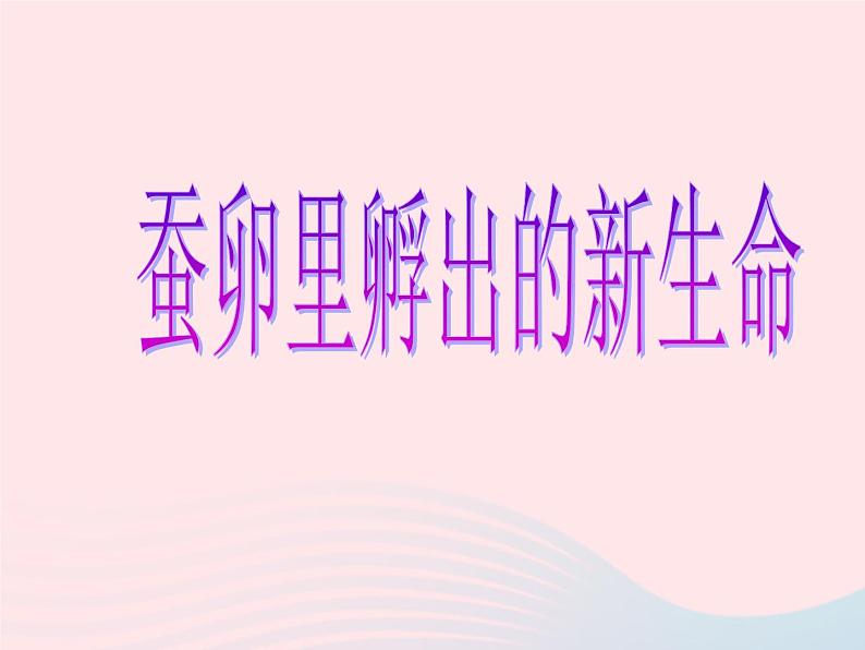 三年级科学下册第二单元动物的生命周期1《蚕卵里孵出的新生命》课件1教科版01