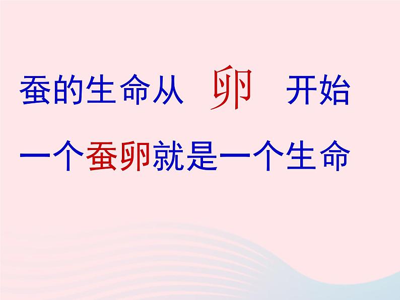 三年级科学下册第二单元动物的生命周期1《蚕卵里孵出的新生命》课件1教科版05