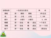 三年级科学下册第二单元动物的生命周期1蚕卵里孵出的新生命课件1教科版