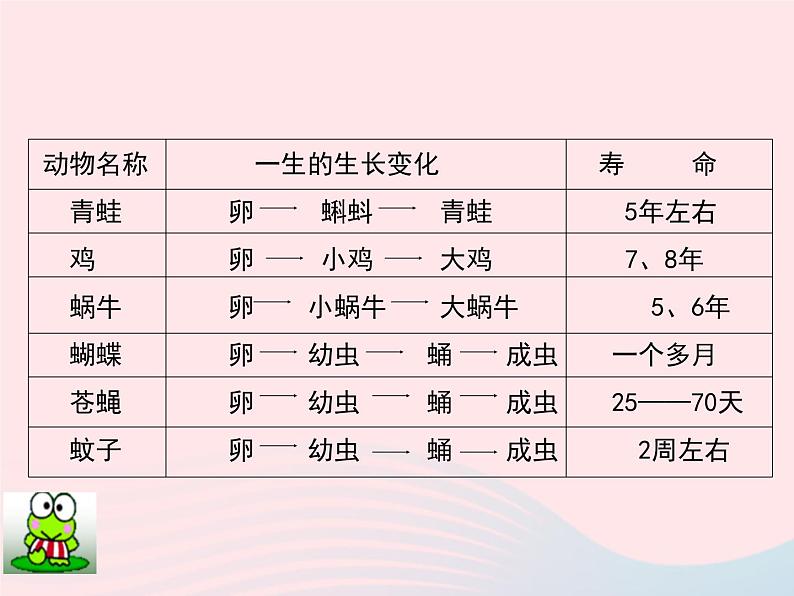 三年级科学下册第二单元动物的生命周期1蚕卵里孵出的新生命课件1教科版02