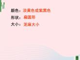 三年级科学下册第二单元动物的生命周期1蚕卵里孵出的新生命课件1教科版
