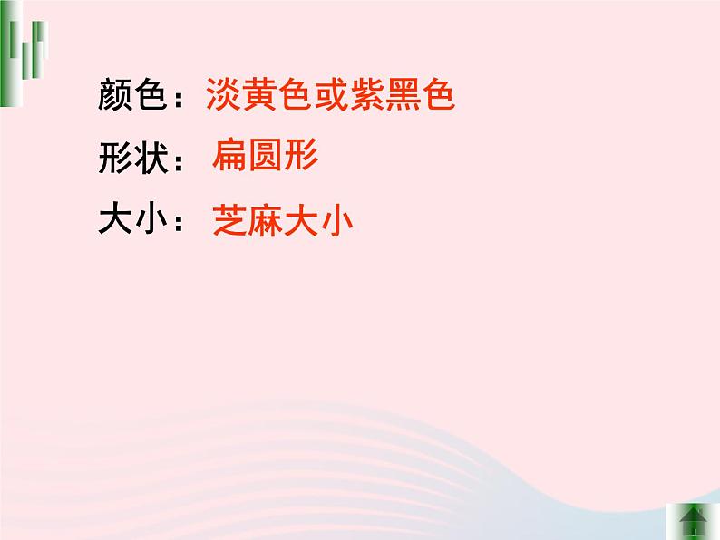 三年级科学下册第二单元动物的生命周期1蚕卵里孵出的新生命课件1教科版05