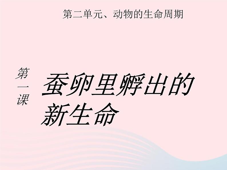 三年级科学下册第二单元动物的生命周期1《蚕卵里孵出的新生命》课件3教科版01