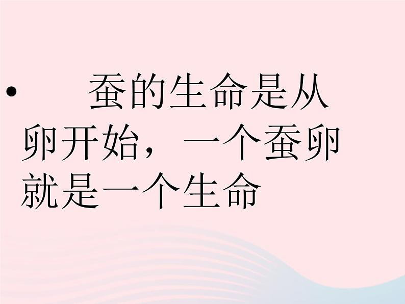 三年级科学下册第二单元动物的生命周期1《蚕卵里孵出的新生命》课件3教科版02