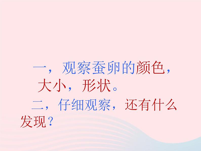 三年级科学下册第二单元动物的生命周期1《蚕卵里孵出的新生命》课件3教科版03