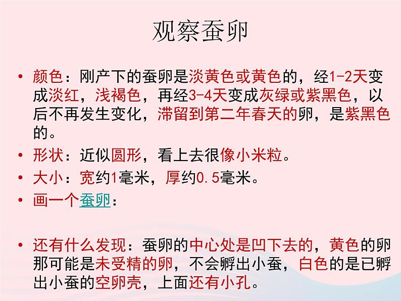 三年级科学下册第二单元动物的生命周期1《蚕卵里孵出的新生命》课件3教科版04