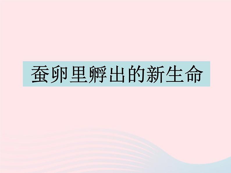 三年级科学下册第二单元动物的生命周期1蚕卵里孵出的新生命课件3教科版01