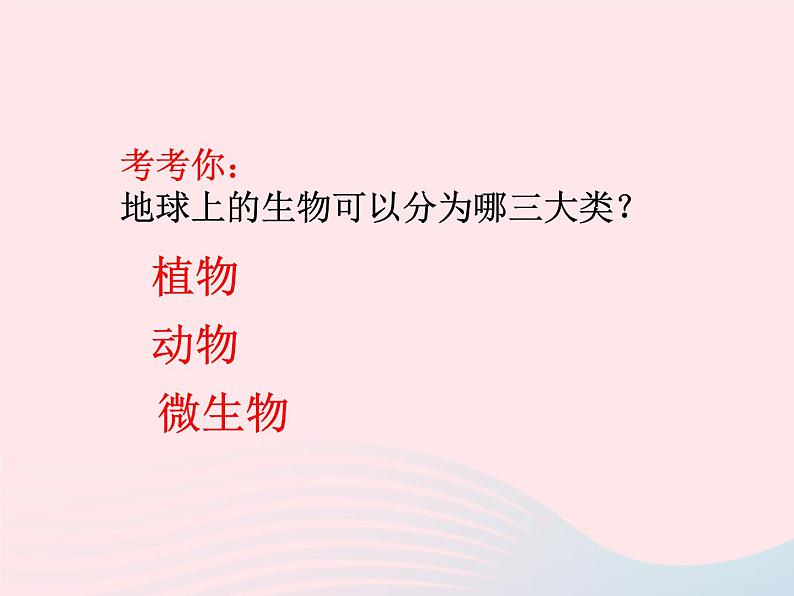 三年级科学下册第二单元动物的生命周期1蚕卵里孵出的新生命课件2教科版02