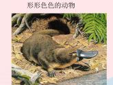 三年级科学下册第二单元动物的生命周期1蚕卵里孵出的新生命课件2教科版