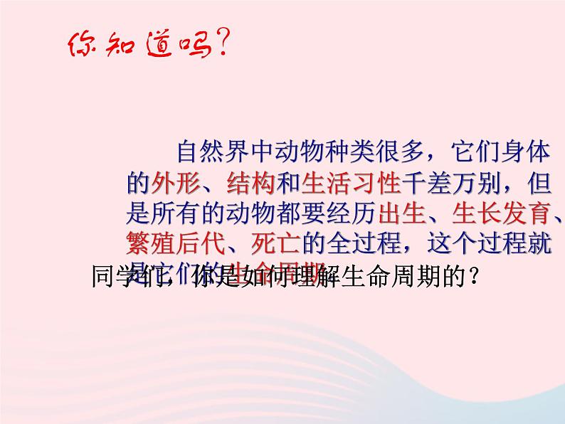 三年级科学下册第二单元动物的生命周期1蚕卵里孵出的新生命课件2教科版05