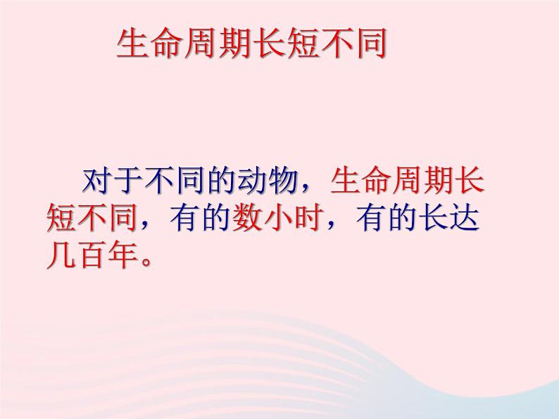 三年级科学下册第二单元动物的生命周期1蚕卵里孵出的新生命课件2教科版06