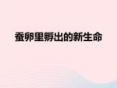 三年级科学下册第二单元动物的生命周期1蚕卵里孵出的新生命课件5教科版