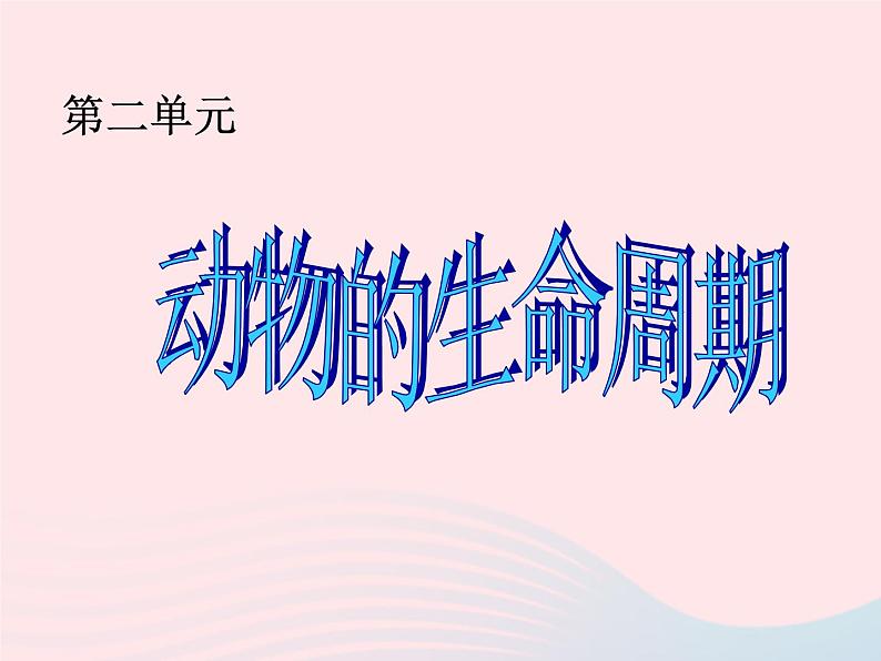 三年级科学下册第二单元动物的生命周期1蚕卵里孵出的新生命课件4教科版01