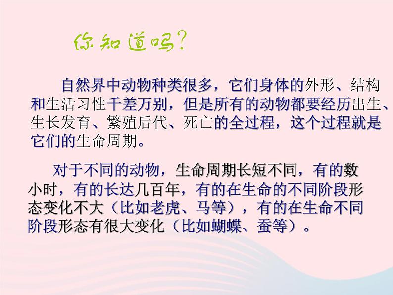 三年级科学下册第二单元动物的生命周期1蚕卵里孵出的新生命课件4教科版04