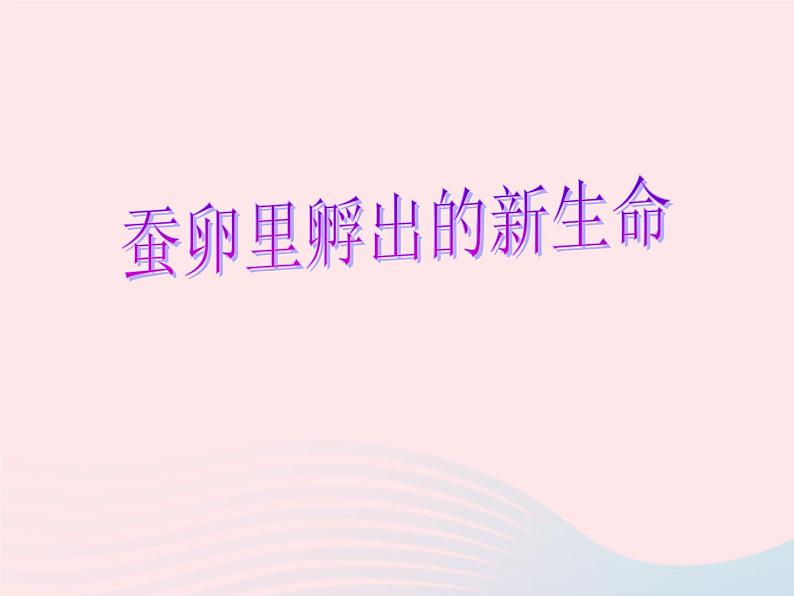 三年级科学下册第二单元动物的生命周期1蚕卵里孵出的新生命课件4教科版05