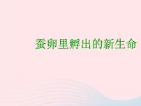 小学科学教科版三年级下册动物的生命周期1.蚕卵里孵出的新生命教课课件ppt