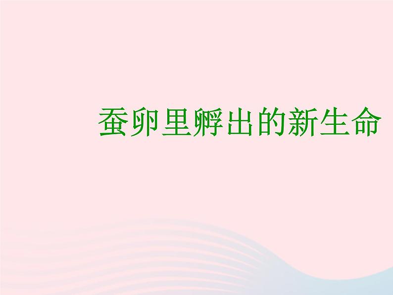 三年级科学下册第二单元动物的生命周期1蚕卵里孵出的新生命课件教科版01