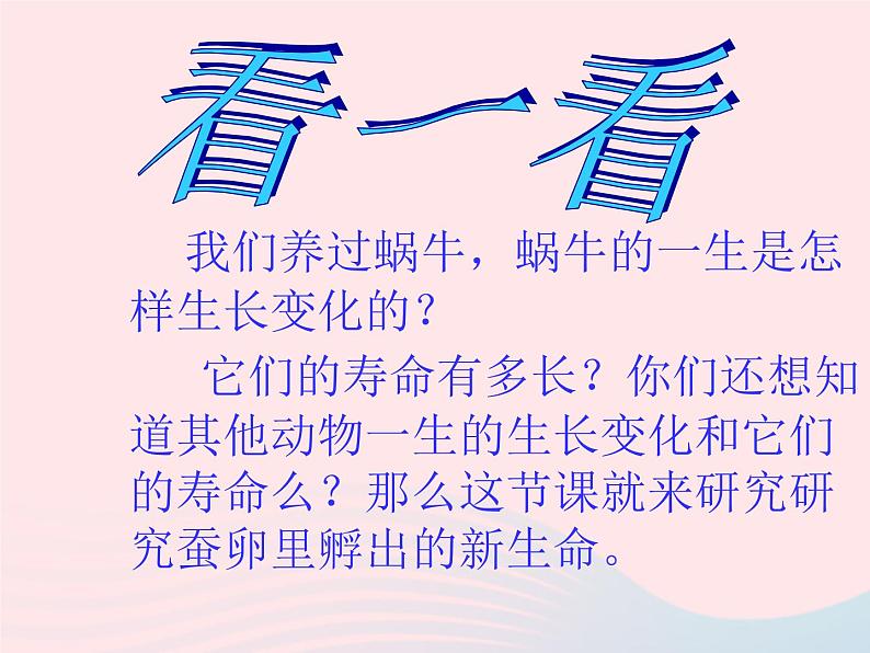 三年级科学下册第二单元动物的生命周期1蚕卵里孵出的新生命课件教科版02