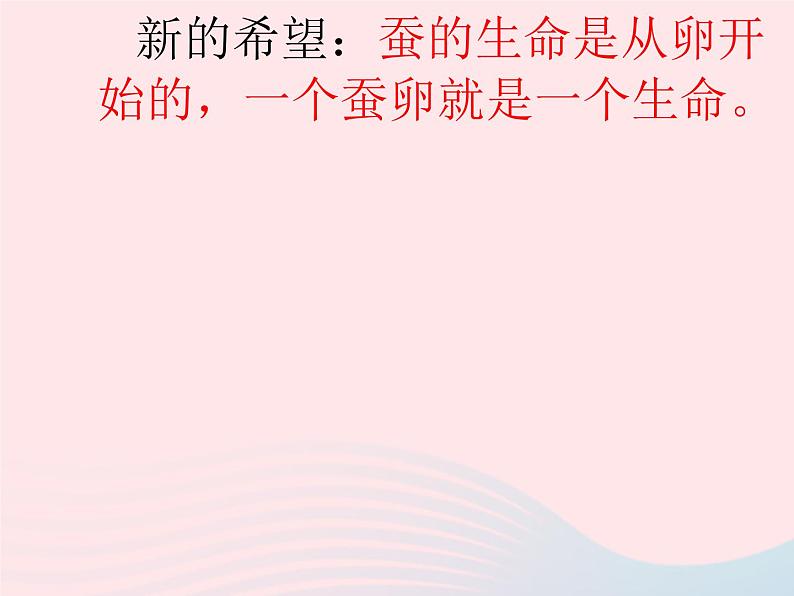 三年级科学下册第二单元动物的生命周期1蚕卵里孵出的新生命课件教科版03