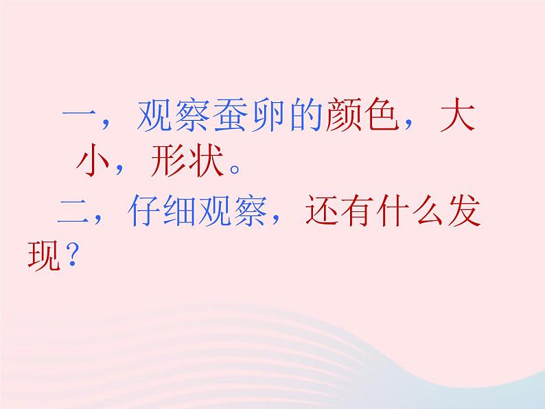 三年级科学下册第二单元动物的生命周期1蚕卵里孵出的新生命课件教科版04