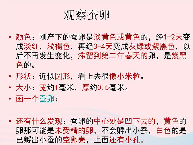 三年级科学下册第二单元动物的生命周期1蚕卵里孵出的新生命课件教科版05