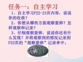 三年级科学下册第二单元动物的生命周期1《蚕卵里孵出的新生命》课件2教科版