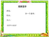 三年级科学下册第二单元动物的生命周期1《蚕卵里孵出的新生命》课件2教科版
