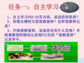 三年级科学下册第二单元动物的生命周期1《蚕卵里孵出的新生命》课件2教科版