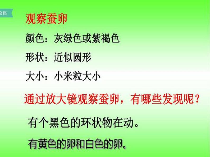 三年级科学下册第二单元动物的生命周期1《蚕卵里孵出的新生命》课件2教科版07