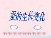 三年级科学下册第二单元动物的生命周期2蚕的生长变化课件3教科版