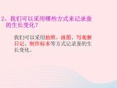 三年级科学下册第二单元动物的生命周期2蚕的生长变化课件3教科版
