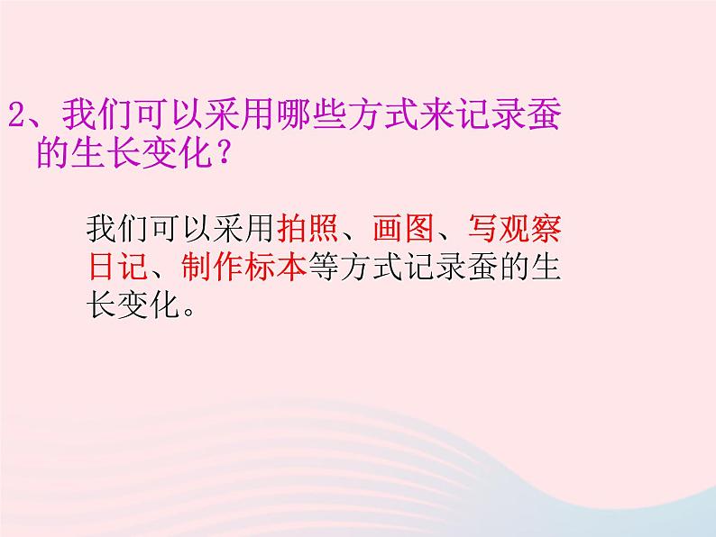 三年级科学下册第二单元动物的生命周期2蚕的生长变化课件3教科版04