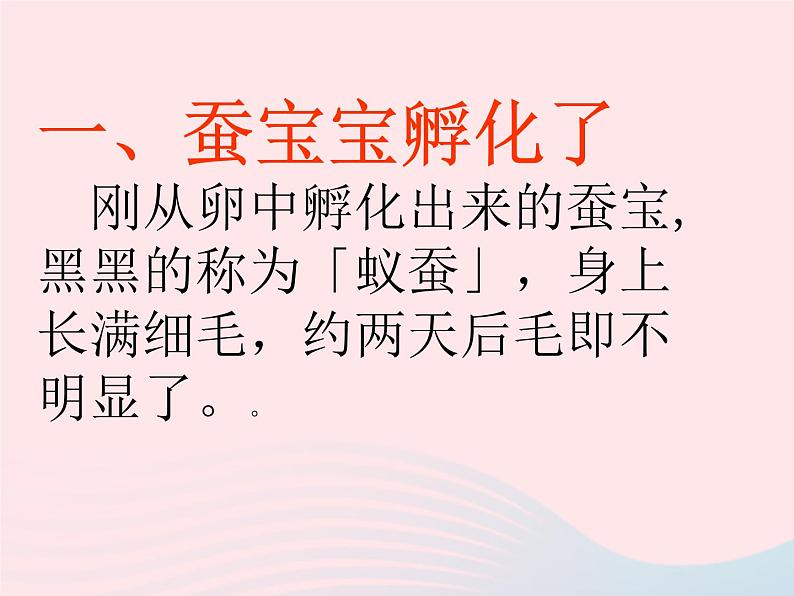 三年级科学下册第二单元动物的生命周期2蚕的生长变化课件2教科版02