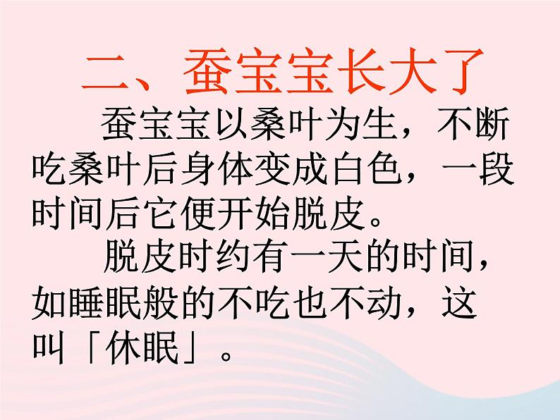 三年级科学下册第二单元动物的生命周期2蚕的生长变化课件2教科版06