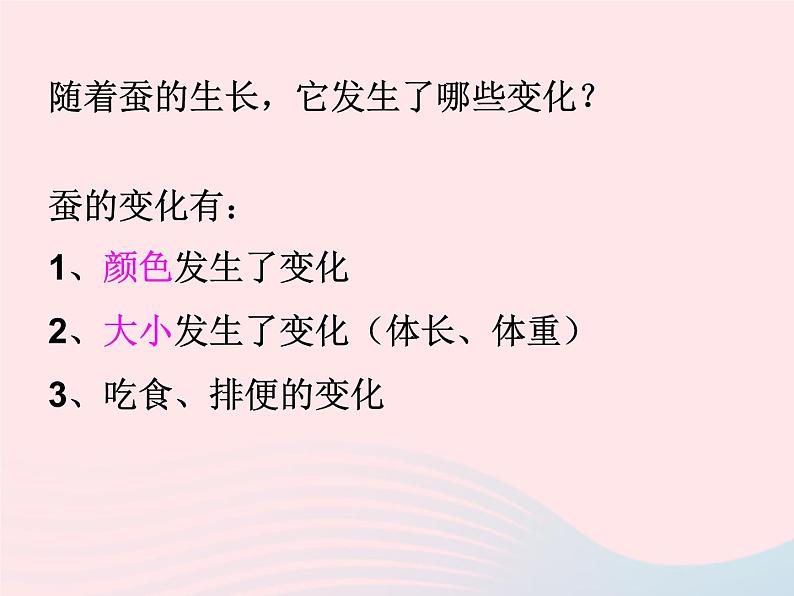 三年级科学下册第二单元动物的生命周期2蚕的生长变化课件5教科版03