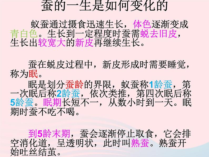 三年级科学下册第二单元动物的生命周期2蚕的生长变化课件5教科版05