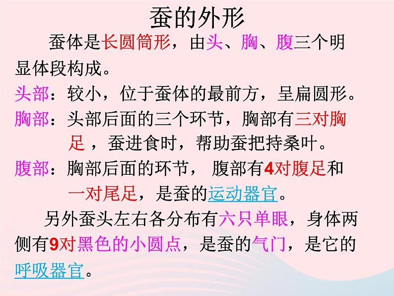 三年级科学下册第二单元动物的生命周期2蚕的生长变化课件5教科版08