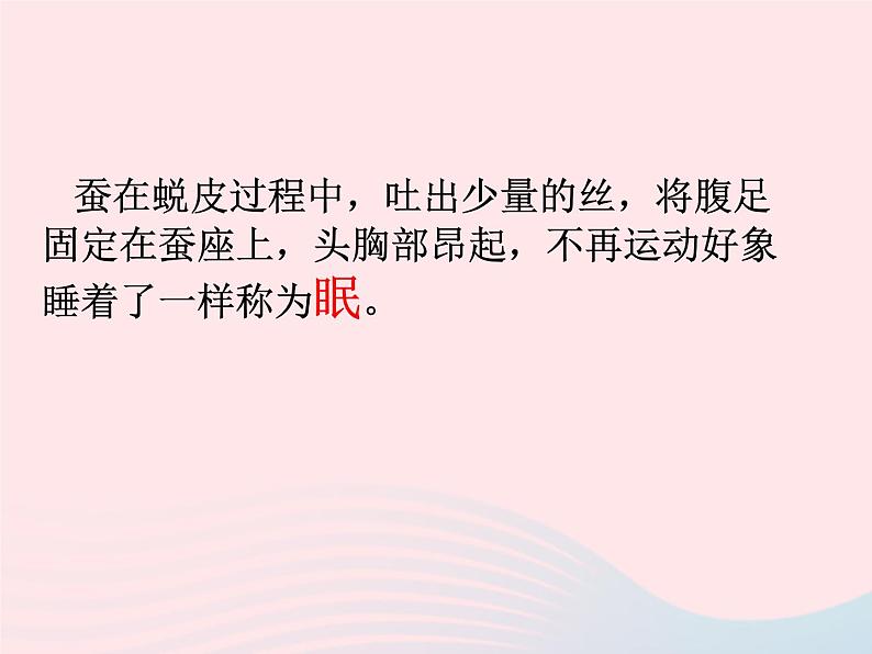 三年级科学下册第二单元动物的生命周期2蚕的生长变化课件教科版07