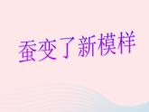 三年级科学下册第二单元动物的生命周期3蚕变了新模样课件2教科版