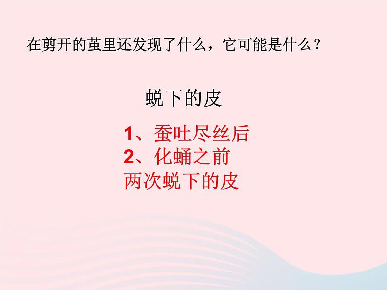 三年级科学下册第二单元动物的生命周期3蚕变了新模样课件2教科版05