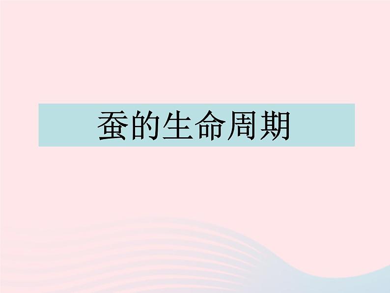 三年级科学下册第二单元动物的生命周期5蚕的生命周期课件1教科版01