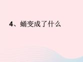 三年级科学下册第二单元动物的生命周期4蛹变成了什么课件3教科版