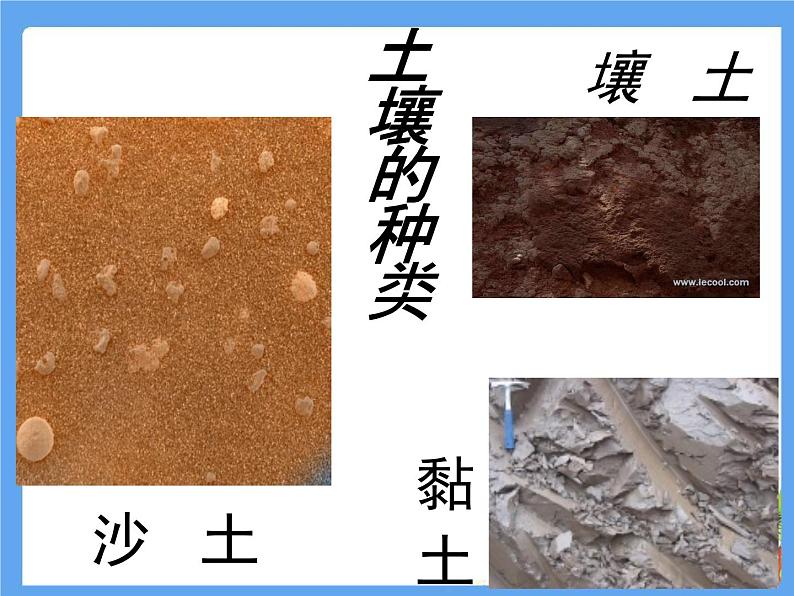 湘教版（三起）科学三年级上册第三单元2、土壤的种类 课件04