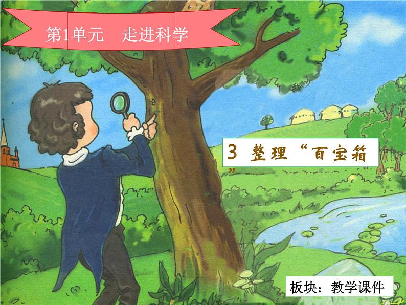 湘教版（三起）科学三年级上册第一单元3、整理“百宝箱”教学课件02