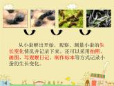 教科版（三起）科学三年级下册第二单元2、蚕的生长变化 课件