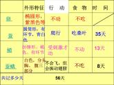 教科版（三起）科学三年级下册第二单元5、蚕的生命周期-PPT课件