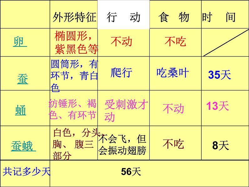 教科版（三起）科学三年级下册第二单元5、蚕的生命周期-PPT课件04